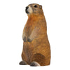 DecoBird - Marmot