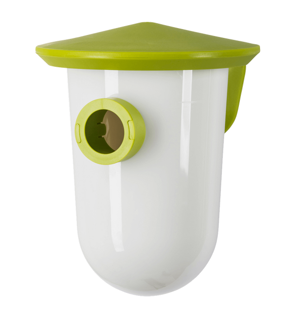 SingingFriend - breites Grün