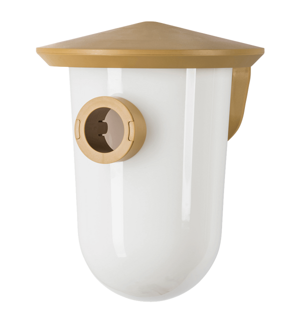 SingingFriend - wideR braun