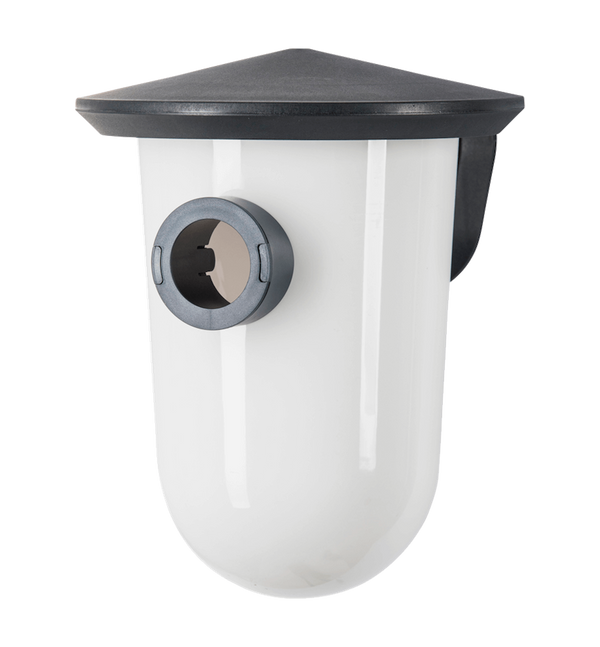 SingingFriend - wideR grau