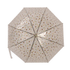 Transparenter Regenschirm mit Bienendruck