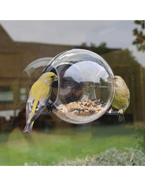 BirdFeeder Fensterfutterspender – Transparenter Fenster-Vogelfutterspender (15 x 10 x 15 cm)