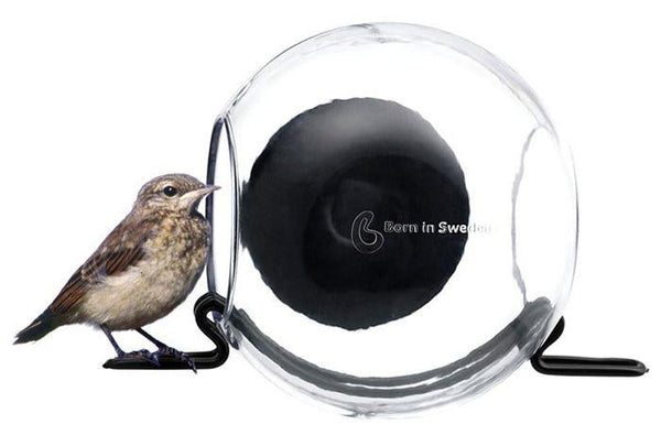 BirdFeeder Fensterfutterspender – Transparenter Fenster-Vogelfutterspender (15 x 10 x 15 cm)