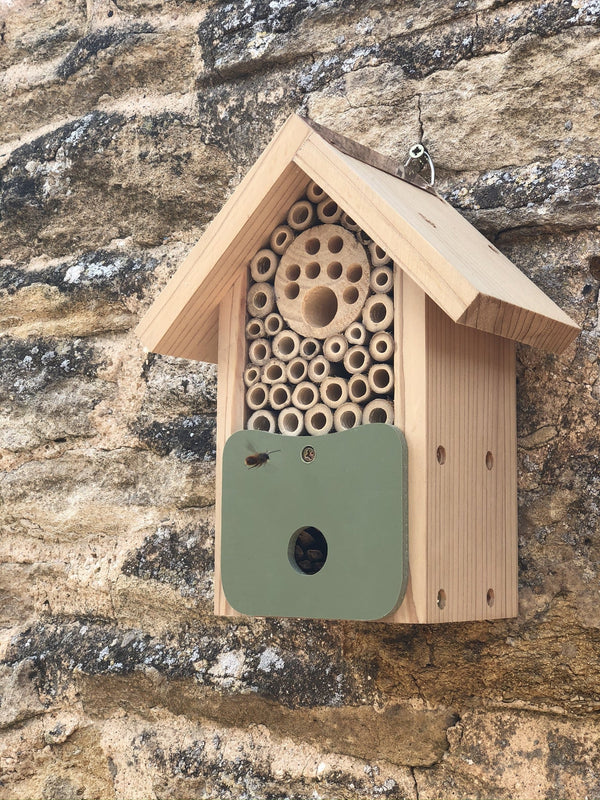 Bienenstall - Bienenstall