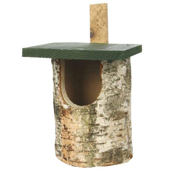 Birken-Halbhöhlenbruder