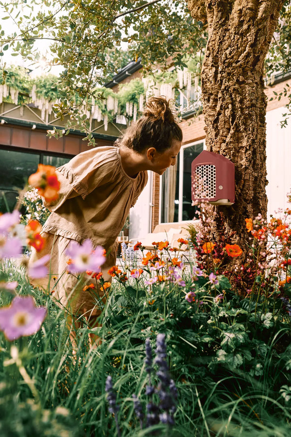 Cosy insectenhotel Toscaans rood – voor solitaire bijen, lieveheersbeestjes & gaasvliegen | Duurzaam gerecycled kunststof