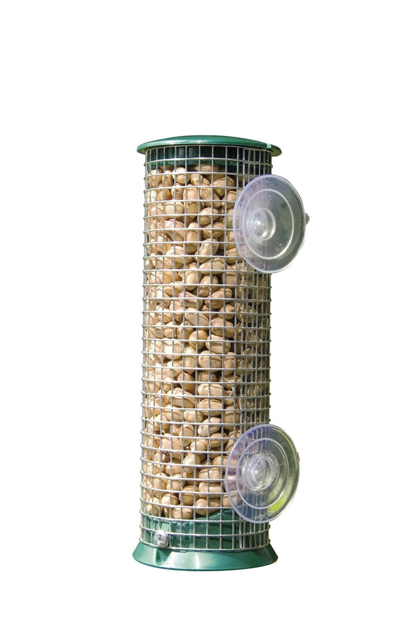 Discovery Window Silo Erdnuss