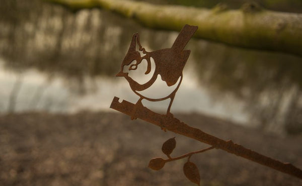 Birdwise - Haubenmeise