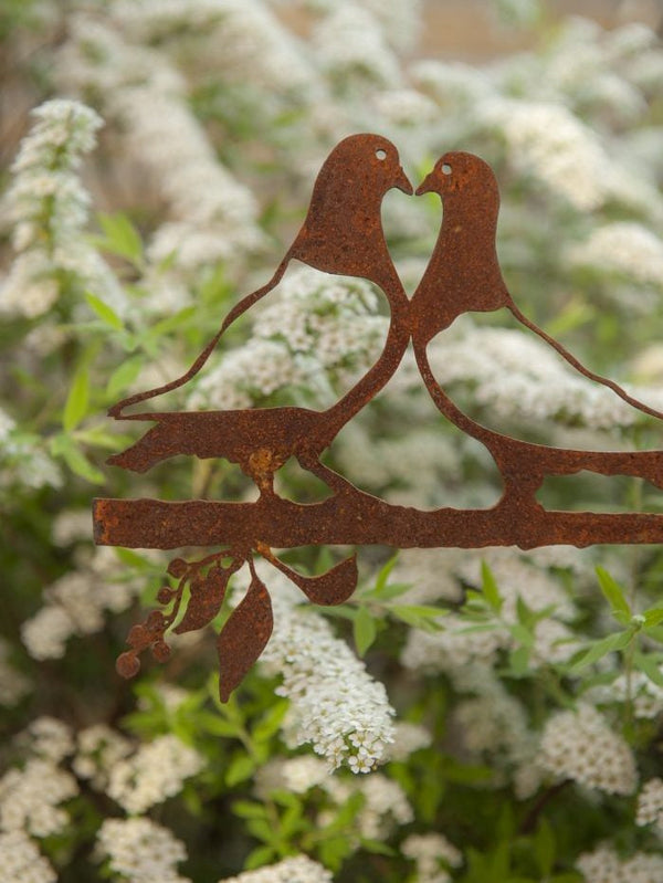 Birdwise - Lovebird-Tauben