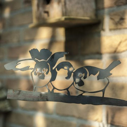 Birdwise - Haussperling-Trio #4