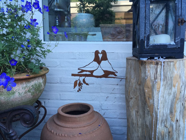 Birdwise - Lovebird-Tauben