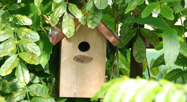 Esschert Design - Nistkasten Zaunkönig Kupfer da