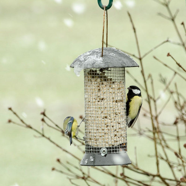 Erdnusssilo Abenteurer 24 cm