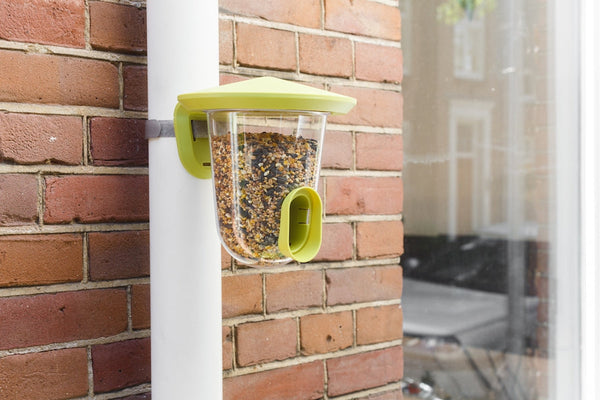 SingingFriend - FeedR transparent grün