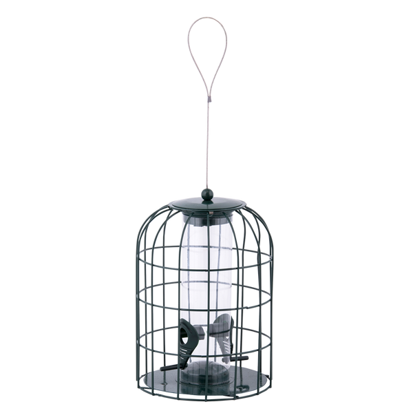 Vogelhäuschen Samensilo Anti-Eichhörnchen