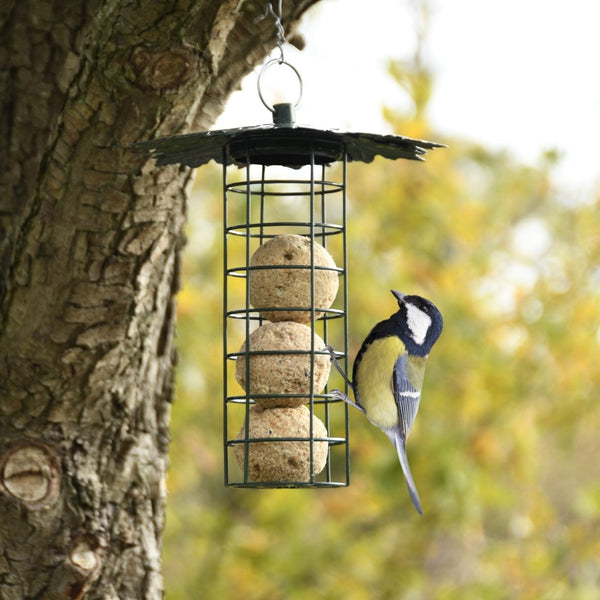 Sukkulentenballmaschine mit Baldachin