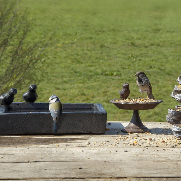Quadratisches Terrazzo-Vogelbad