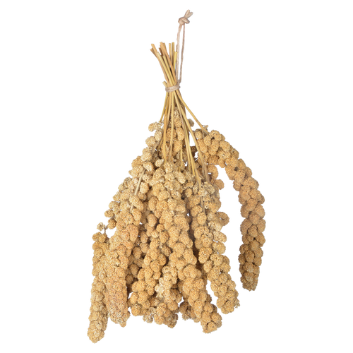 Hirse besprühen