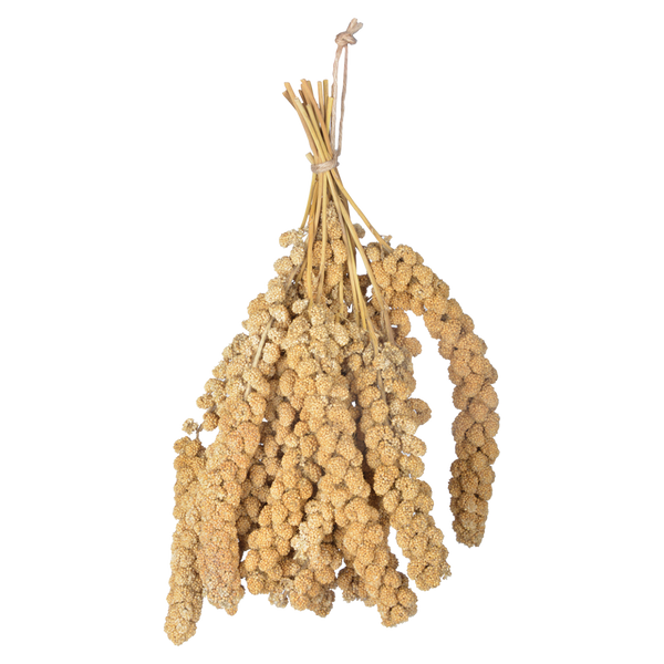 Hirse besprühen