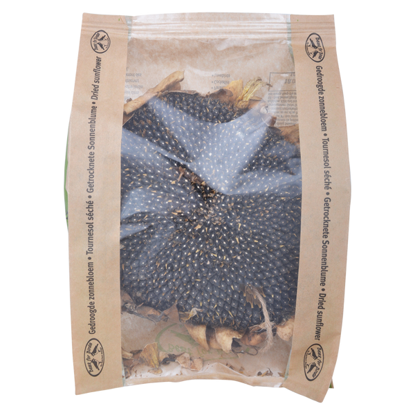 Sonnenblume getrocknet