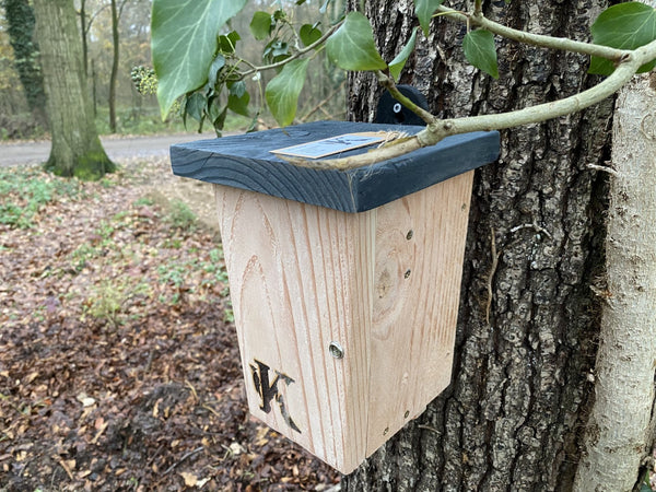 Kooprijk - Fledermaus