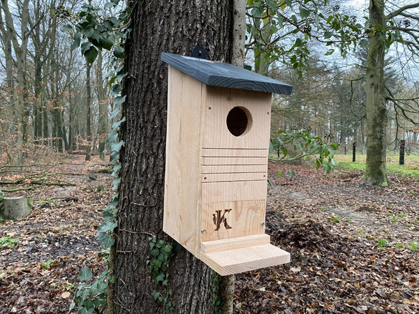 Kooprijk - Eichhörnchen