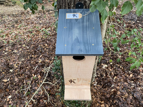 Kooprijk - Eichhörnchen