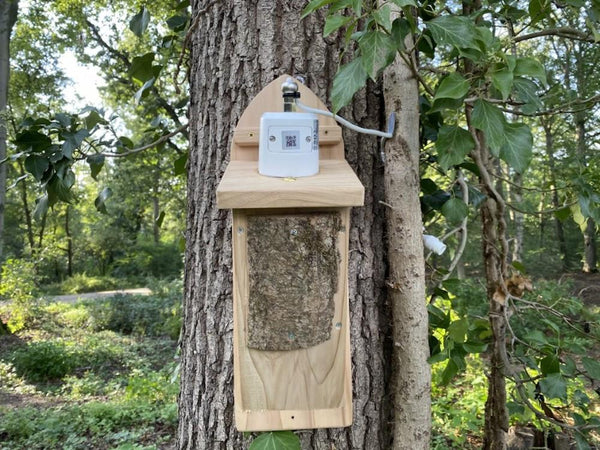 CaptureWILD - Kleiber