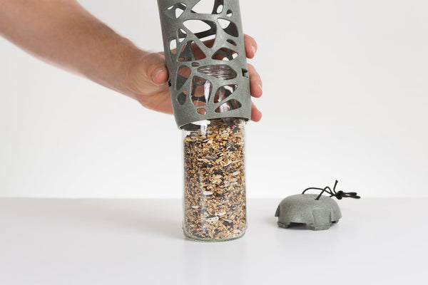 Singender Freund - Tara