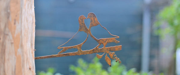 Birdwise - Lovebird-Tauben