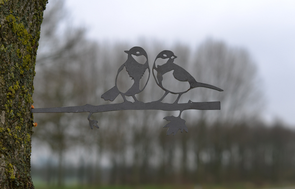 Birdwise - Kohlmeisenpaar