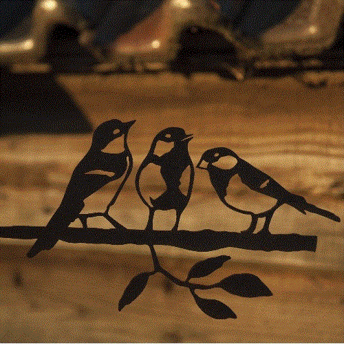 Birdwise - Kohlmeisen-Trio