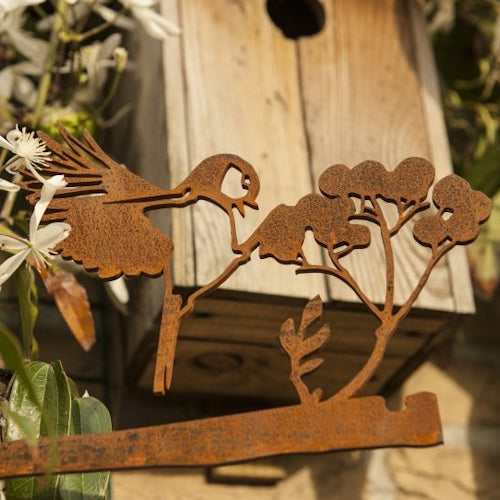 Birdwise - Kohlmeise fliegt