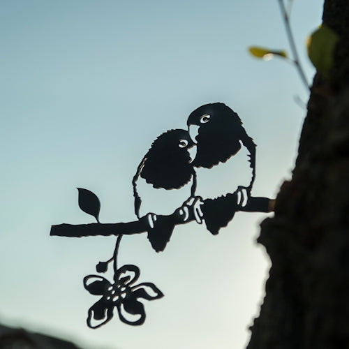 Birdwise - Unzertrennlicher Agapornis-Unzertrennlicher