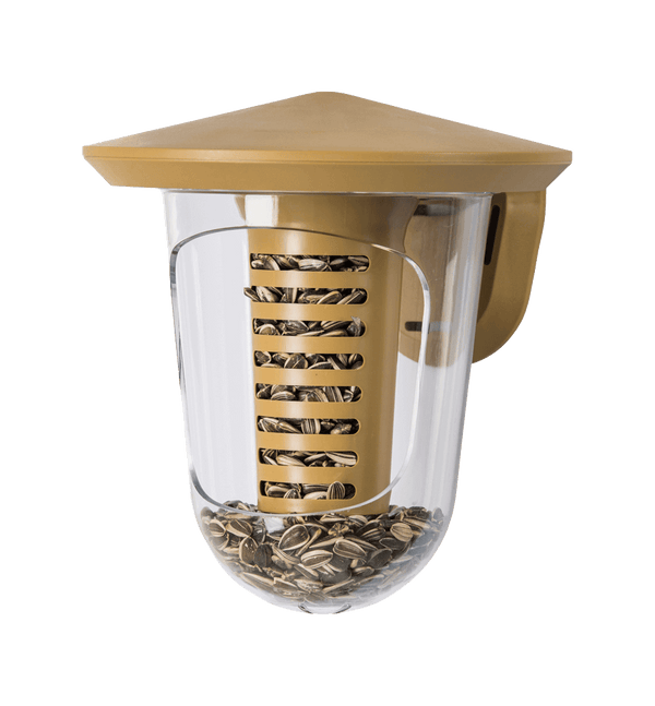 SingingFriend - Multi feedR transparent braun