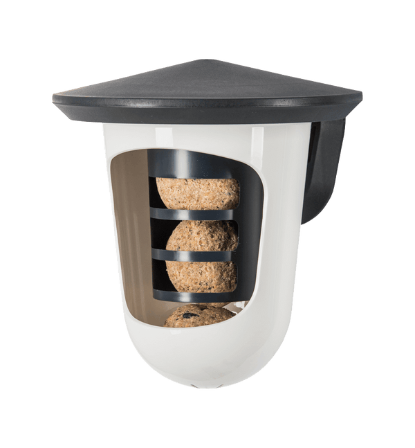 SingingFriend - MultifeedR anthrazit