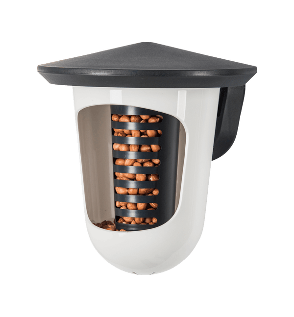 SingingFriend - MultifeedR anthrazit