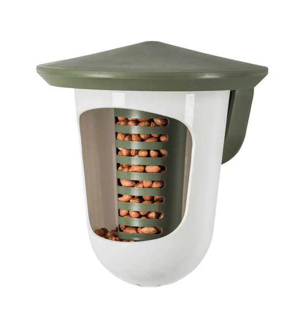 SingingFriend - Multi feedR grün