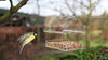 Acryl Hängefuttertisch transparent