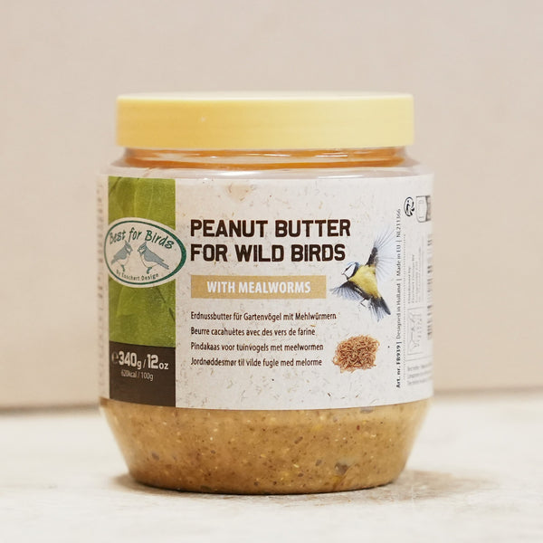 Vogel-Erdnussbutter mit Mehlwürmern