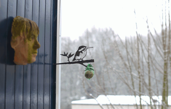 Birdwise - Eisvogel mit Blättern