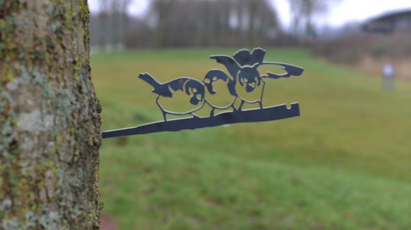 Birdwise - Haussperling-Trio #4