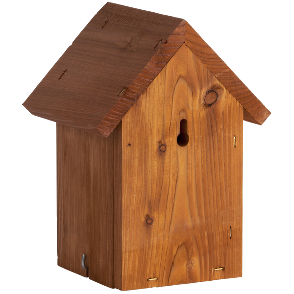 Nistkasten Wren Douglas Wood