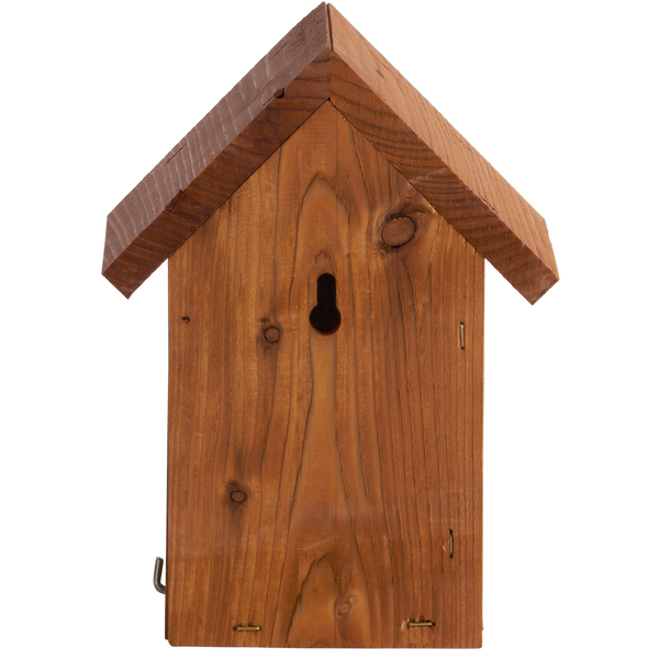 Nistkasten Wren Douglas Wood