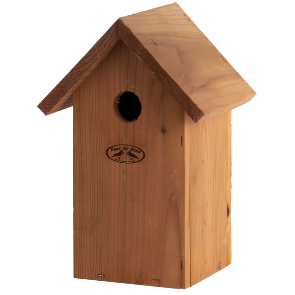 Nistkasten Blaumeise Douglasie