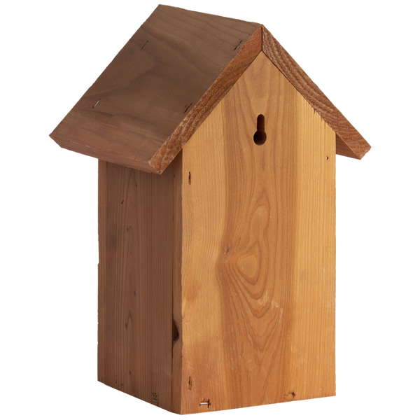 Nistkasten Blaumeise Douglasie