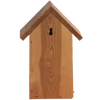 Nistkasten Blaumeise Douglasie