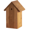 Nistkasten Blaumeise Douglasie