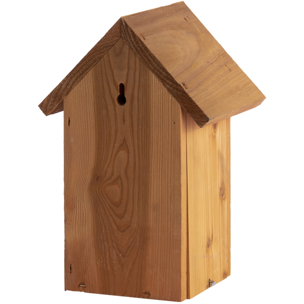 Nistkasten Blaumeise Douglasie