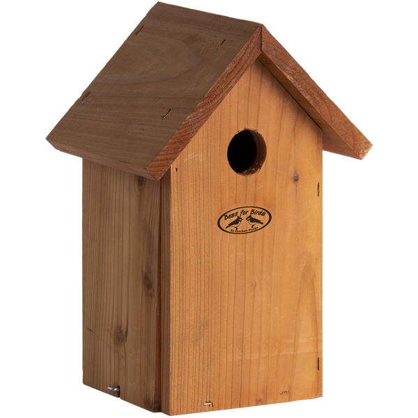 Nistkasten Blaumeise Douglasie